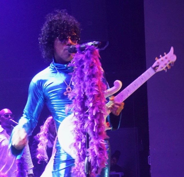 Prince Tribute: All Star Purple Party