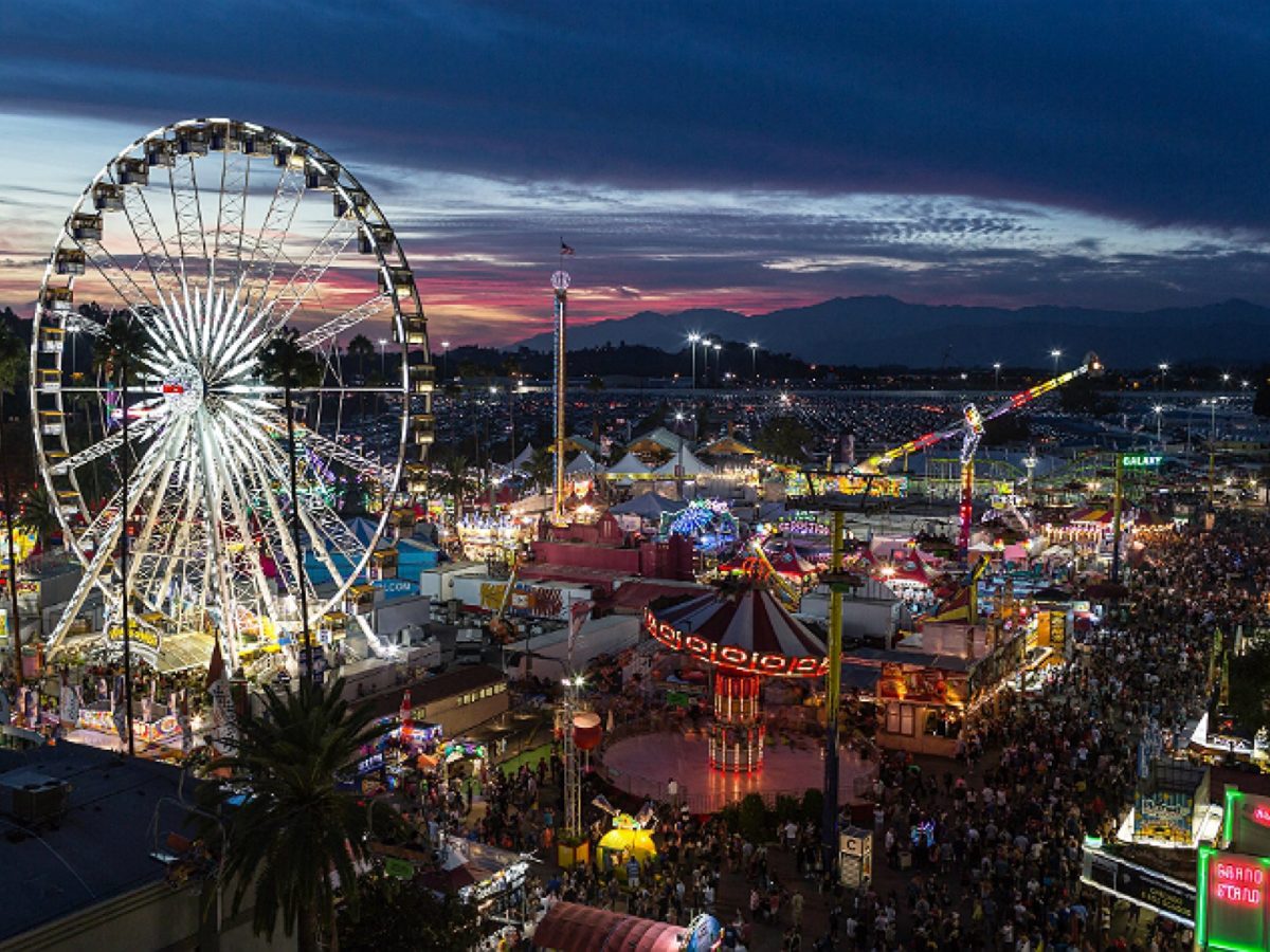 Fair or Festival Entertainment Booking Do You Know the Difference?
