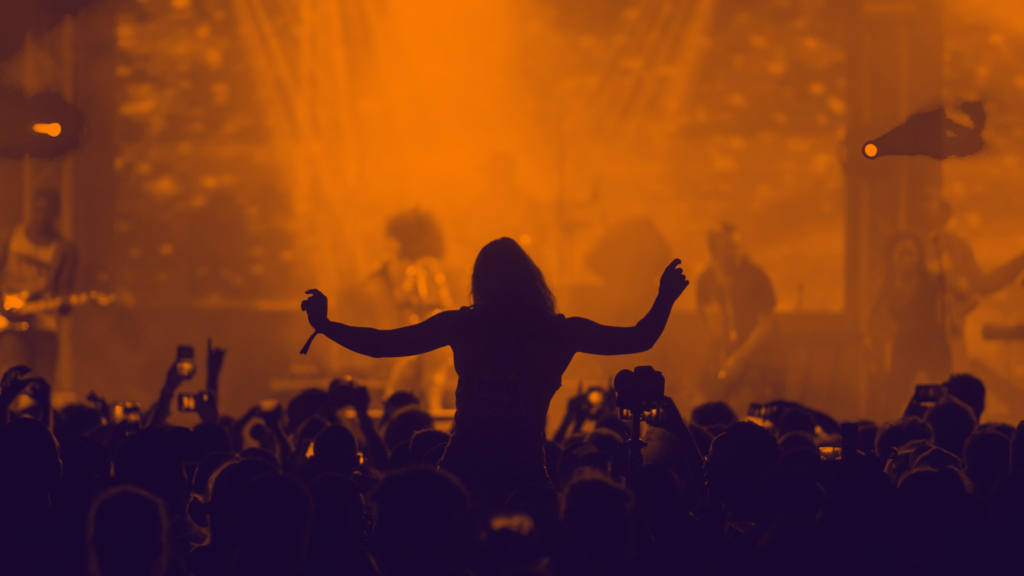 concert or festival performance