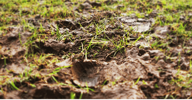 Saturated, waterlogged ground